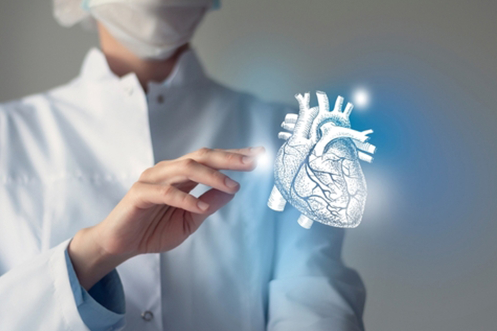 Female doctor touchstone virtual Heart in hand. Blurred photo, handrawn human organ, highlighted blue as symbol of recovery. Healthcare hospital service concept stock photo